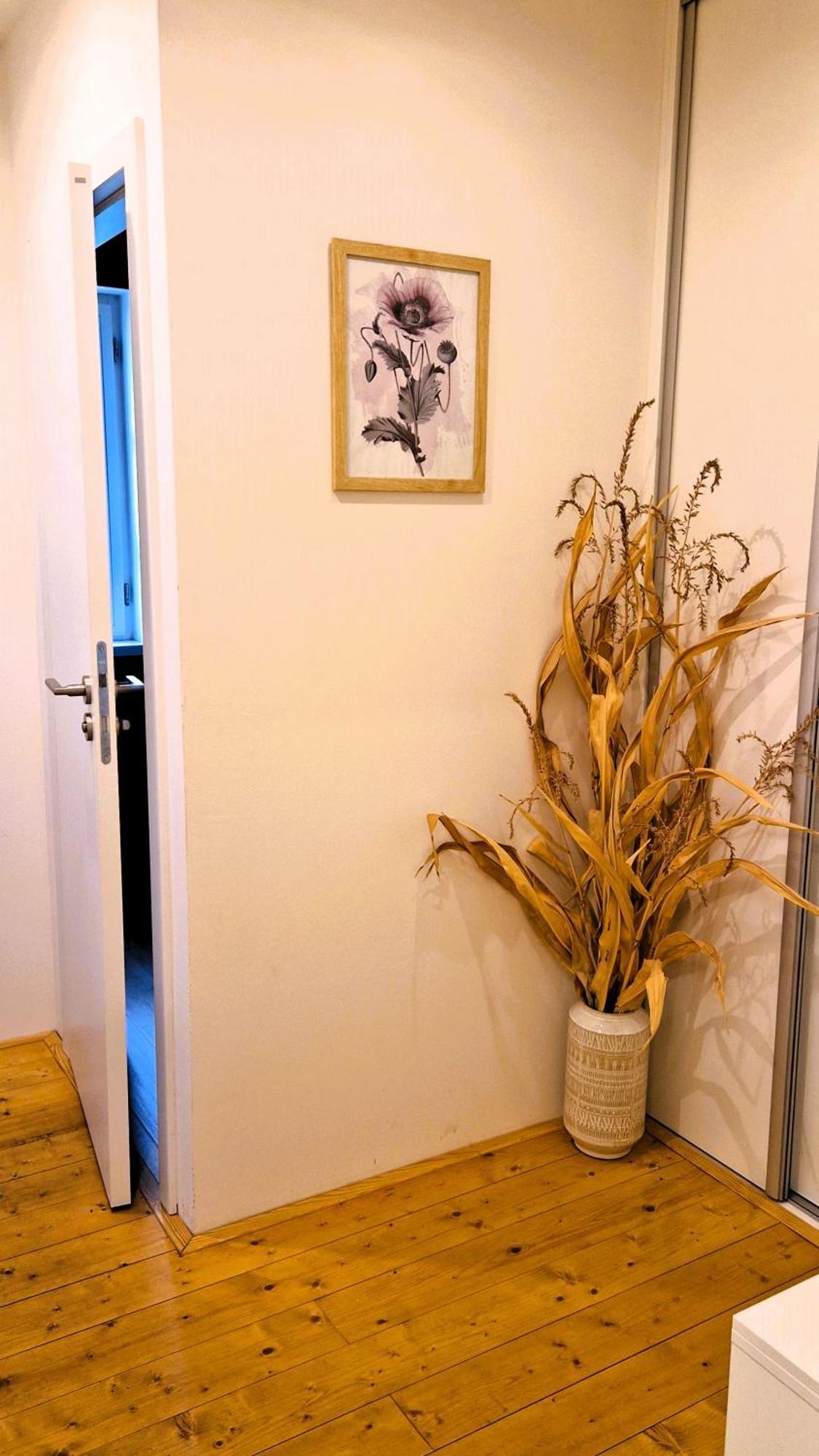 Apartmany Vcelin Brniste Экстерьер фото