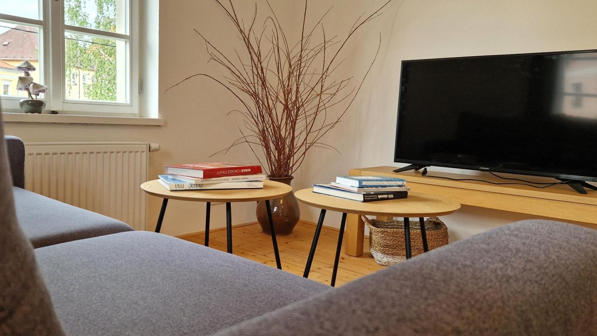 Apartmany Vcelin Brniste Экстерьер фото